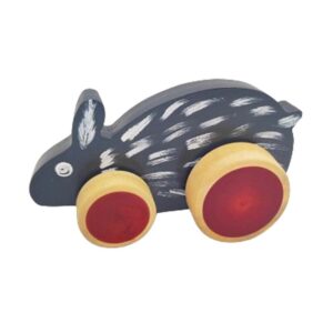 Rabi Push Toy